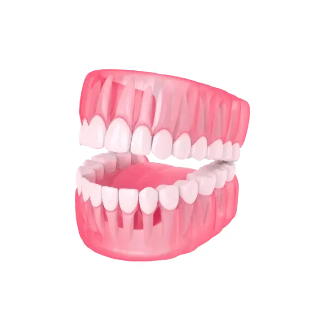 Smile makers services depicted on a jaw